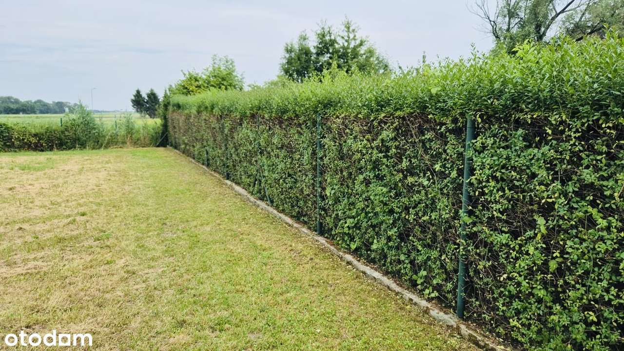 Działka budowlana Owsianka-Bąki-3