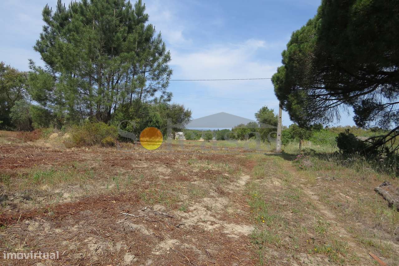 Terreno rústico de 17.000 m² em Melides-5