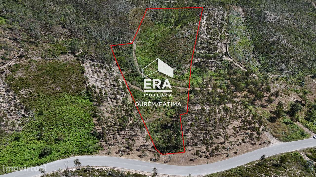 Terreno Florestal em Matas, Ourém-0