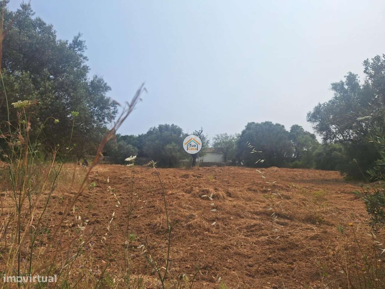 Terreno Rústico em Bordeira no concelho de Faro - Grande imagem: 5/20