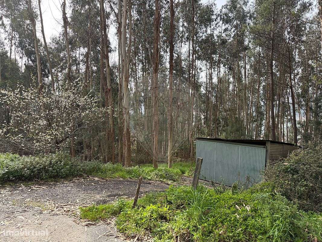 Industrial  para venda-3