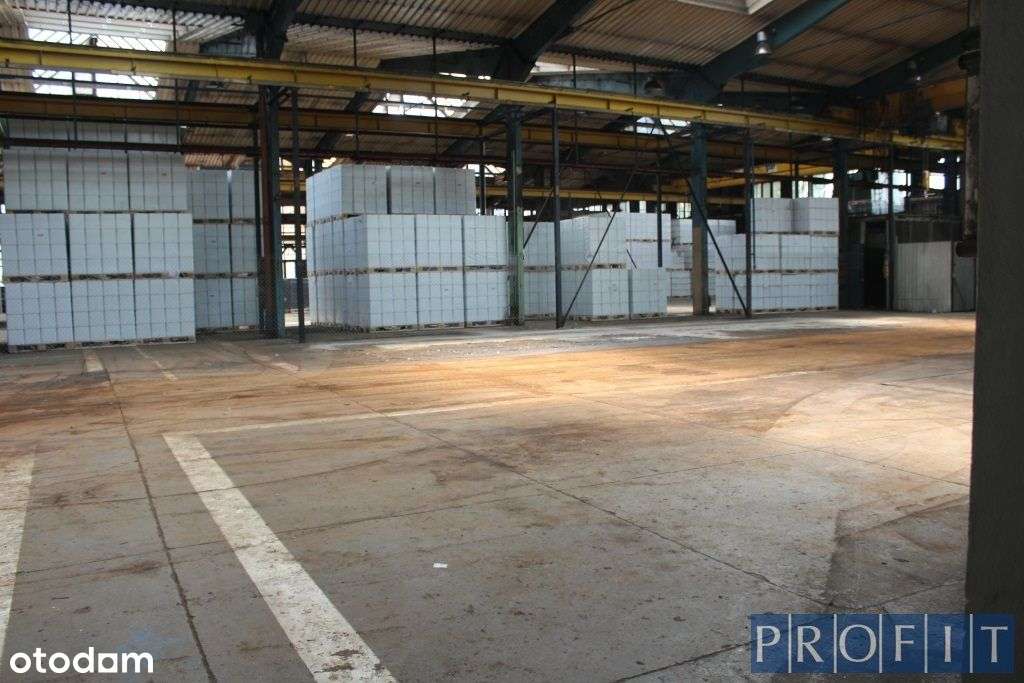 Hala prod-magazynowa 3355 m², suwnice 5T, Katowice - Pełny obrazek: 5/6