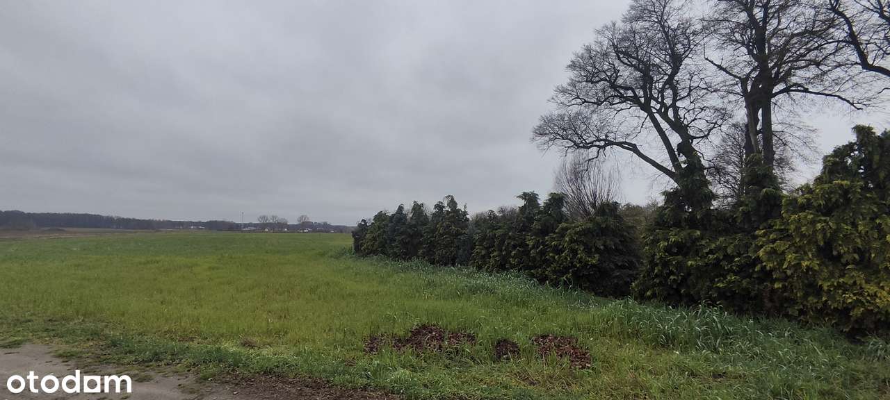 Działka budowlana 900m2 Mała Nieszawka-3