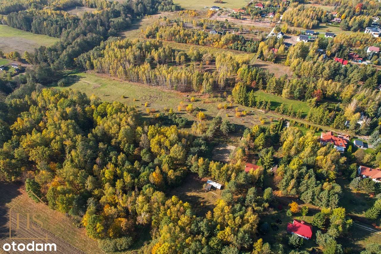 Piękna działka pod zabudowę/Zalesie gm. Żabia Wola/35 min od Wa-wy-17