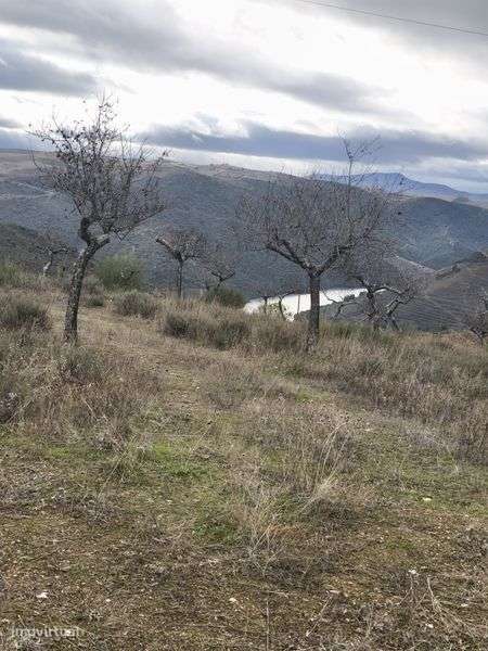 Terreno rústico em sequeiros - Grande imagem: 5/8