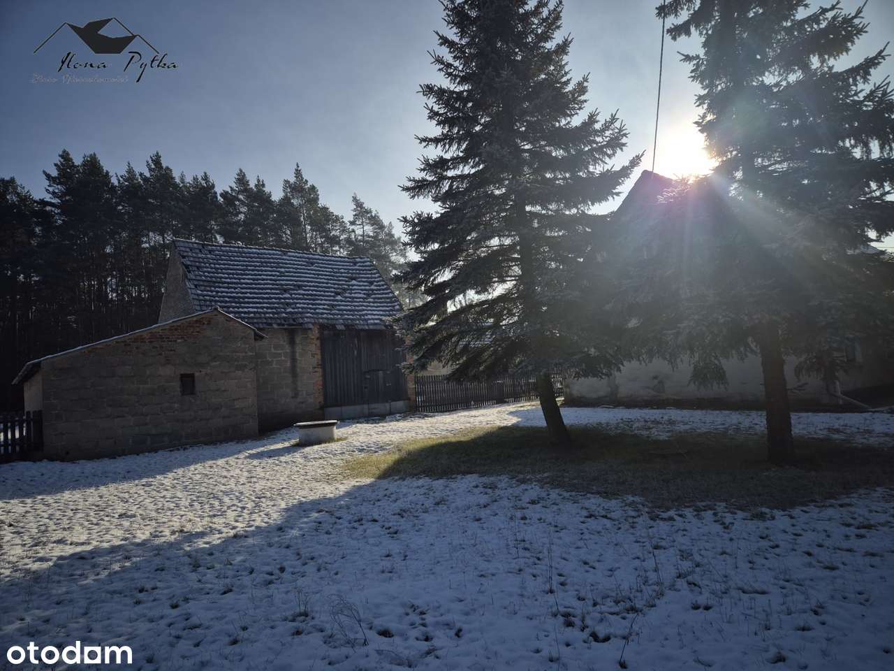 Dom pod lasem z zabudowaniami gospodarczymi 16km od Opola-10