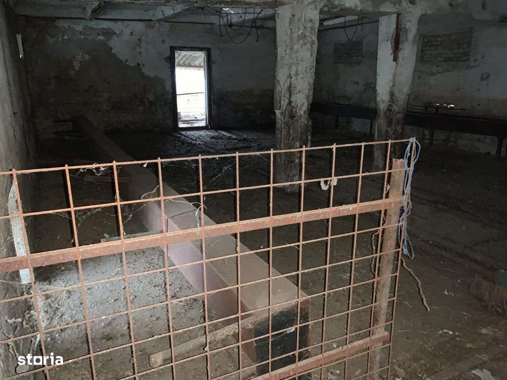 Casa cu teren 8300 mp-6