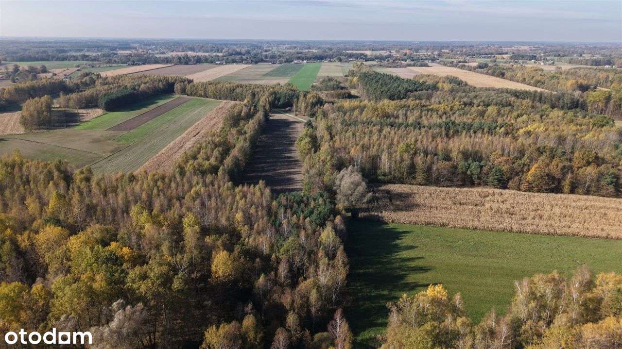 Duża zadrzewiona działka nieopodal Wkry.-15