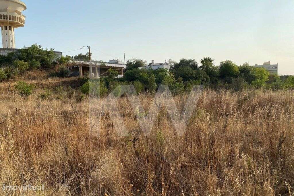 Terreno com 45400 m2 de área com Loteamento Aprovado - Grande imagem: 4/9
