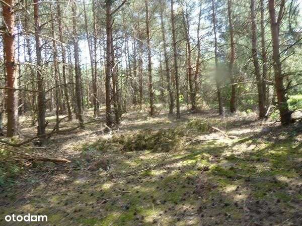 Działka, 17 400 m², Miechów - Pełny obrazek: 4/8