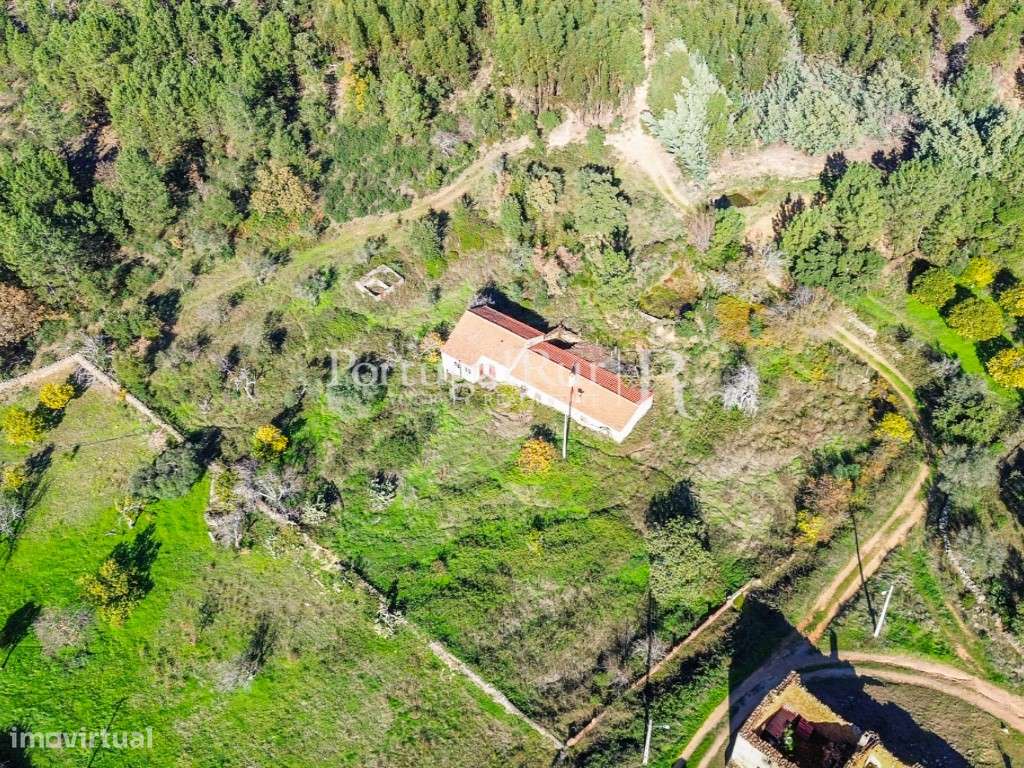 Quintinha de 20 hectares - Grande imagem: 5/60