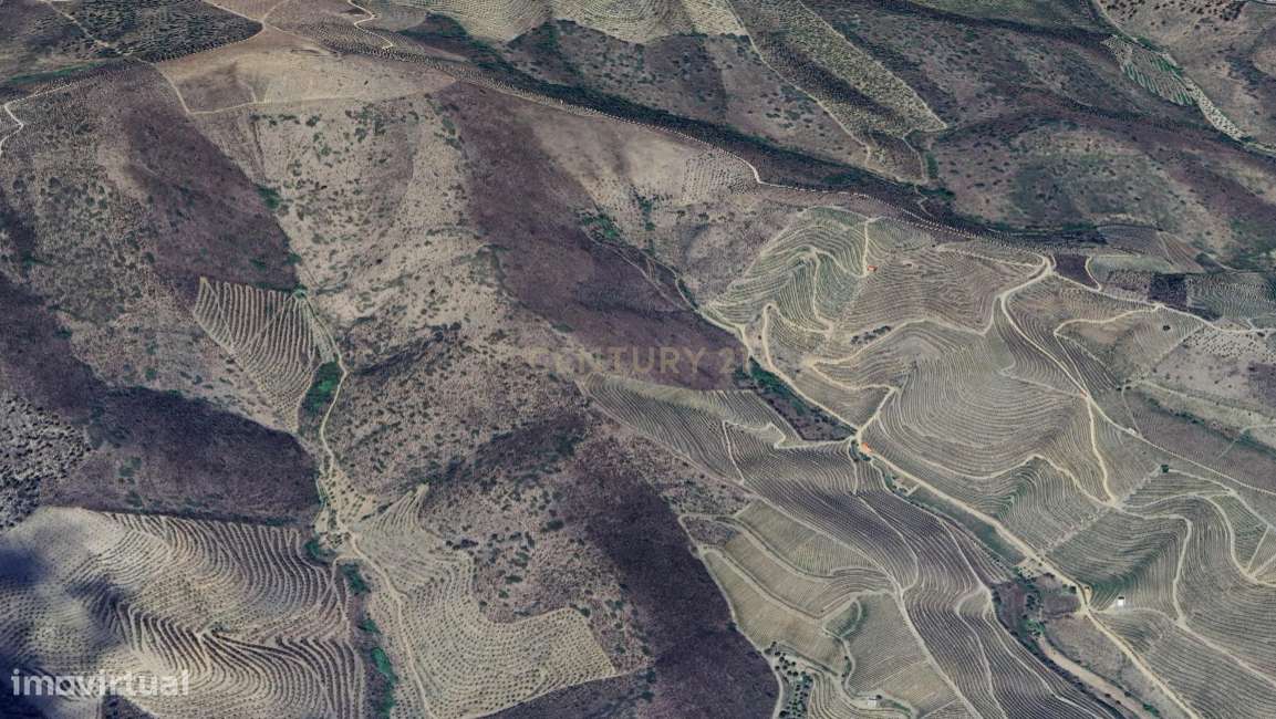 Terreno Rústico em Vila Nova de Foz Côa - Grande imagem: 4/4