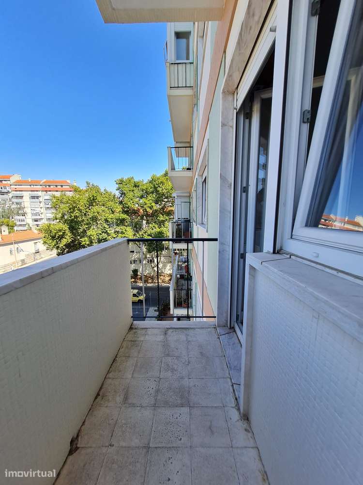 T3 - Laranjeiras - Grande imagem: 4/17