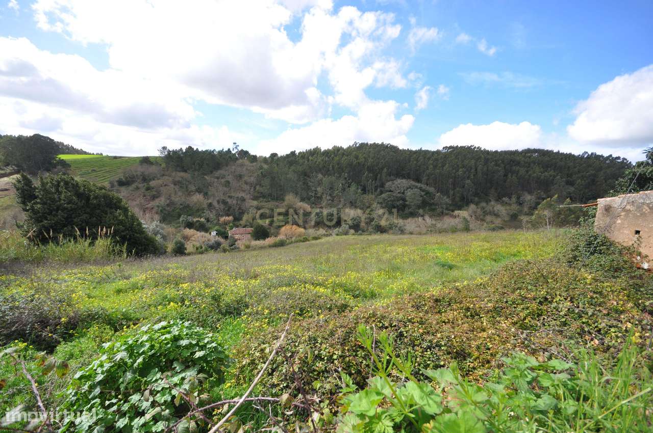 Terreno com Projeto Arquitetónico Aprovado para Quatro Moradias.-23
