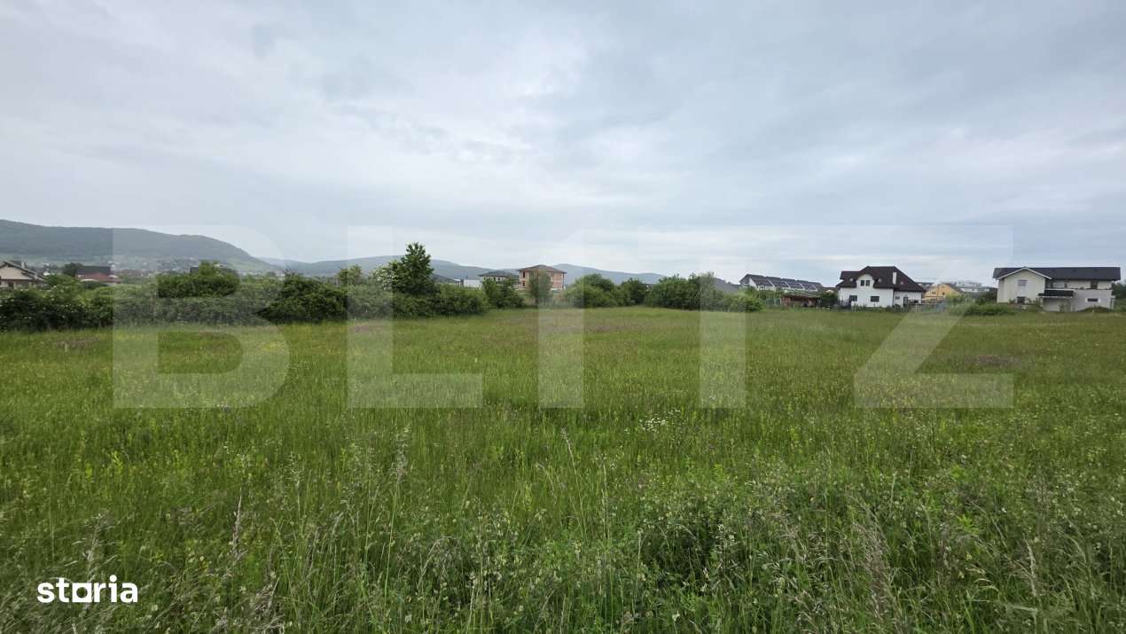 Teren intravilan, 48,3 ari zona Valea Rusului, - Imagine principală: 1/4