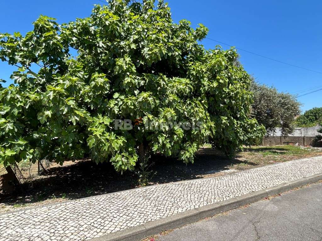 Lote de terreno para construção, na zona norte da cidade - Grande imagem: 5/7