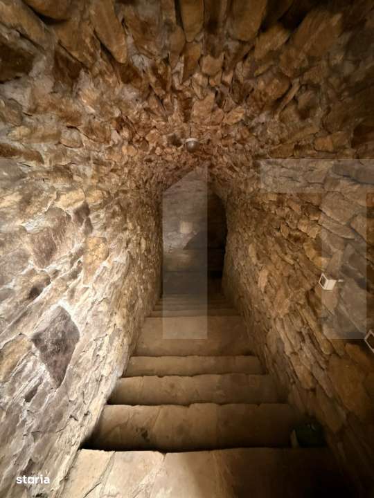 Teren intravilan de vanzare, Botosani - Central - Imagine principală: 5/12