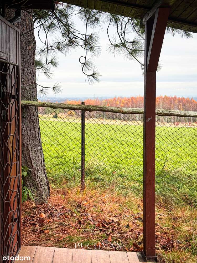 87 ar + Domek pod lasem z możliwością rozbudowy  - BEZ Prowizji-8