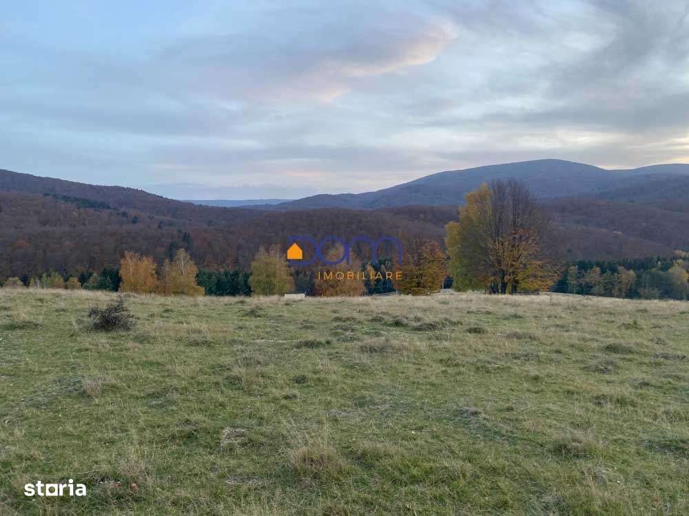 Teren intravilan Brebu Nou - Trei Ape - Imagine principală: 3/10