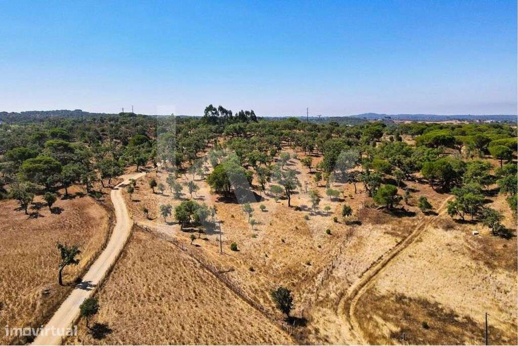 Terreno rústico em Grândola Melides - Grande imagem: 4/11