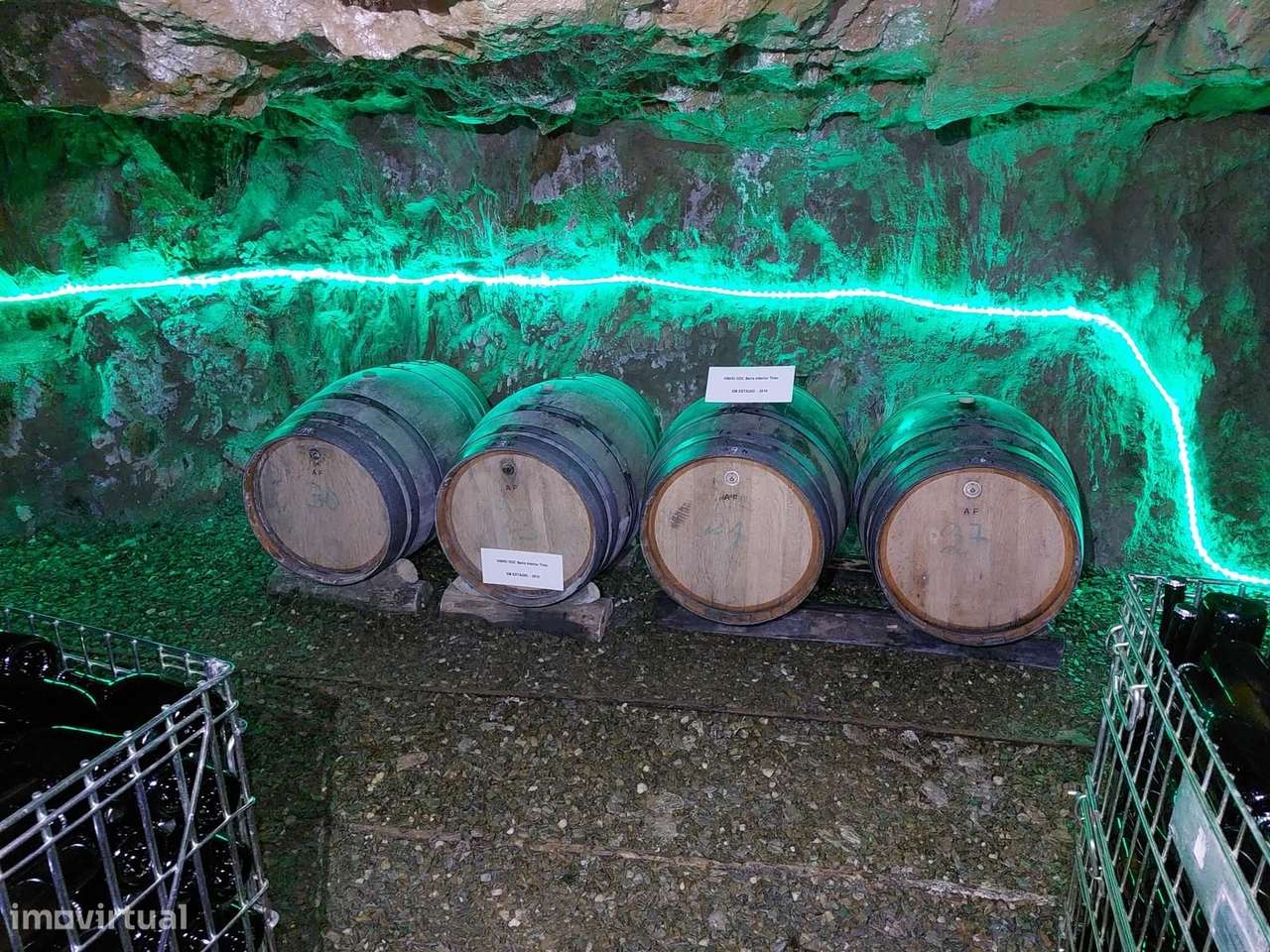 Quinta 5.3 ha, Covilhã-43