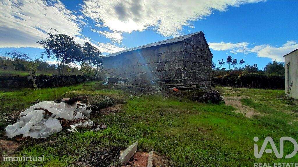 Terreno em Seixo da Beira de 14947,00 m2 - Grande imagem: 5/28