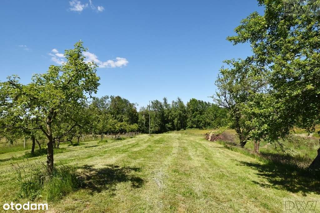 Działki budowlane na sprzedaż, Tarnawa-11