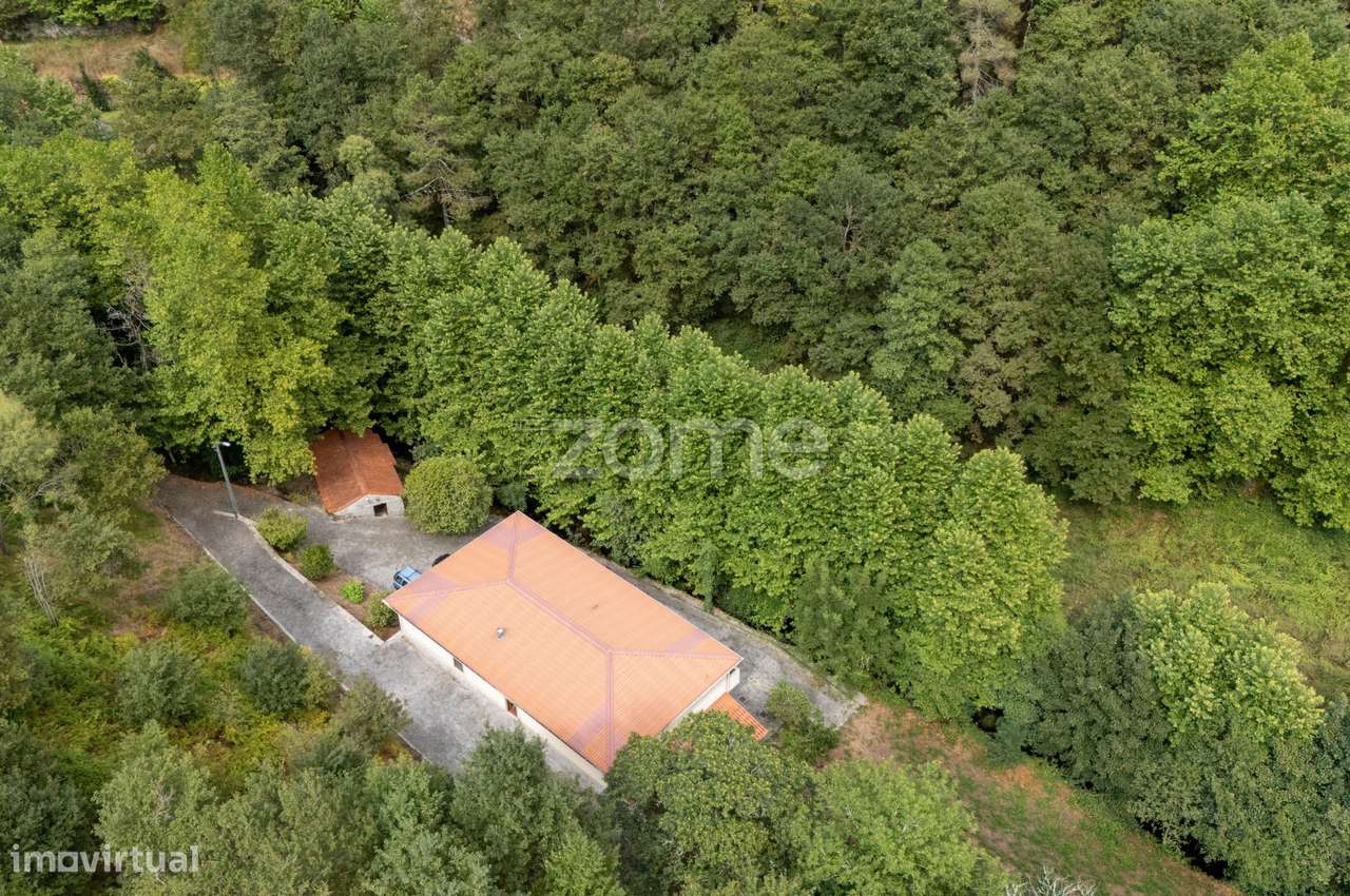 Quinta com Moínho e frente de Rio, Cabeceiras de Basto - Grande imagem: 4/60