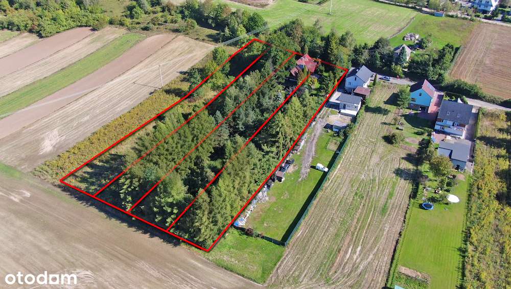 Dom 250m² z ogrodem i działką / Dobra koło Pilicy-17