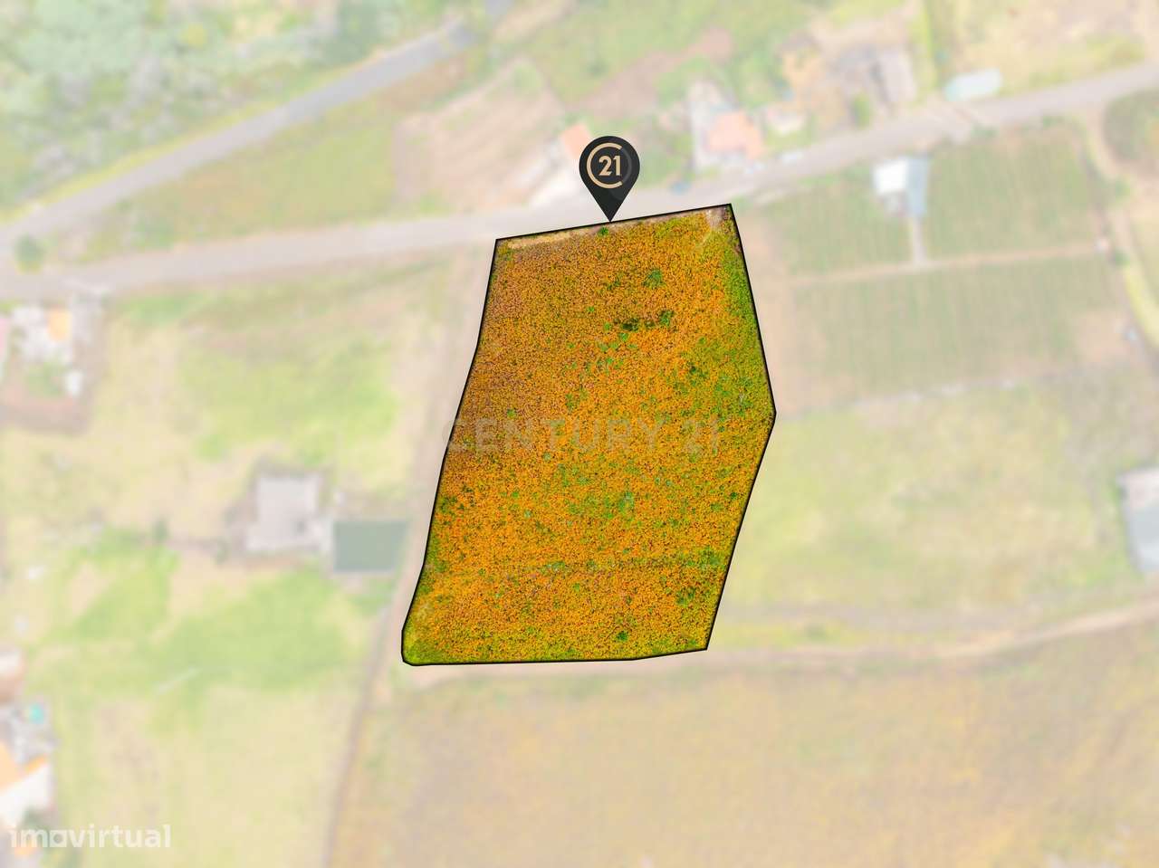 Terreno Rústico com Vista Deslumbrante - Grande imagem: 4/16