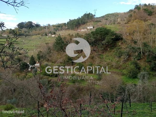Oportunidade Única: Quinta para Habitação, Turismo ou Agricultura em M-38