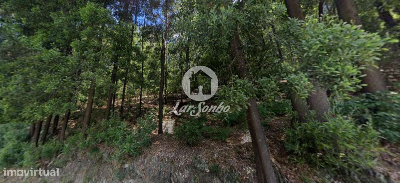 Terreno com 12.000m2 em Santo Tirso - Grande imagem: 2/6