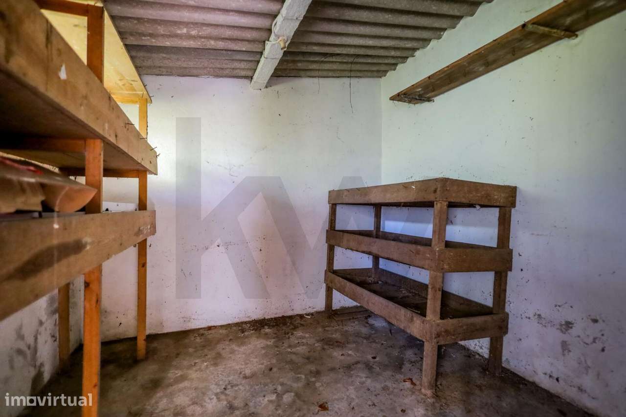 Moradia com 1451m2 de Terreno e Elevado Potencial de Valorização em Sã-33