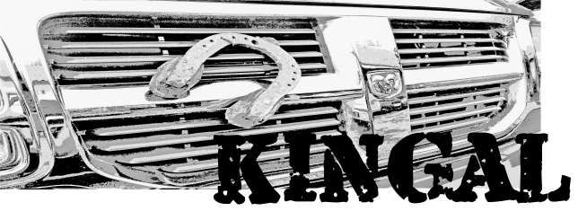 Kingal logo