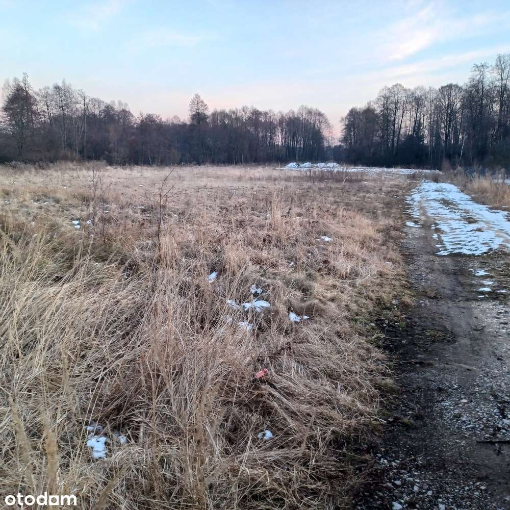 Sprzedam działki budowlane 3.6ha obrzeża Końskich- Dyszów