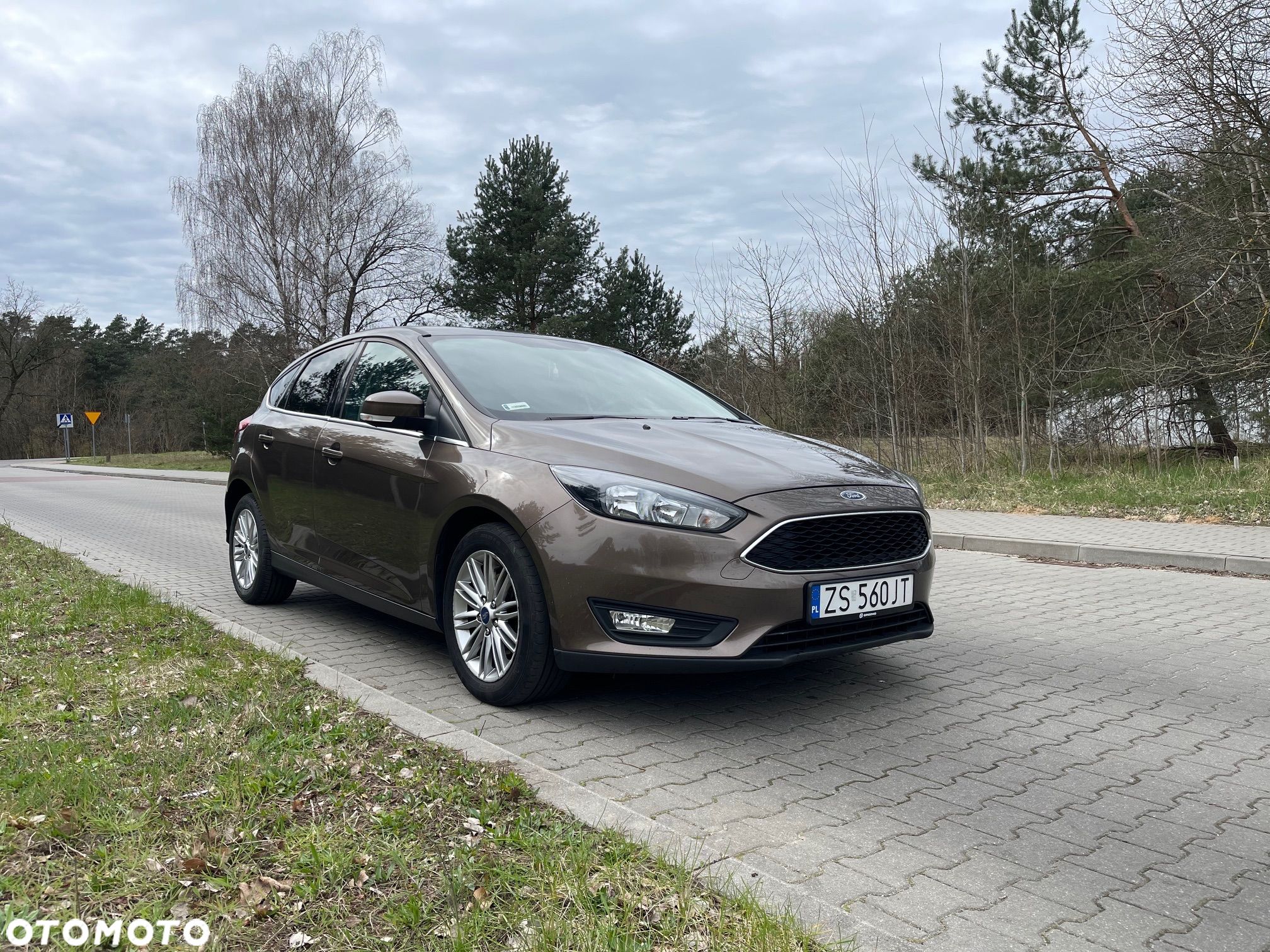 Ford Focus 1.6 Trend - 1