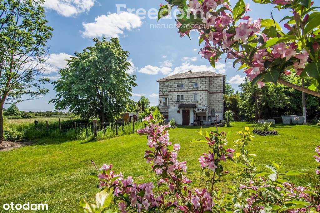 Siedlisko pod Chełmem z domem murowanym, 10 ha - Pełny obrazek: 5/15