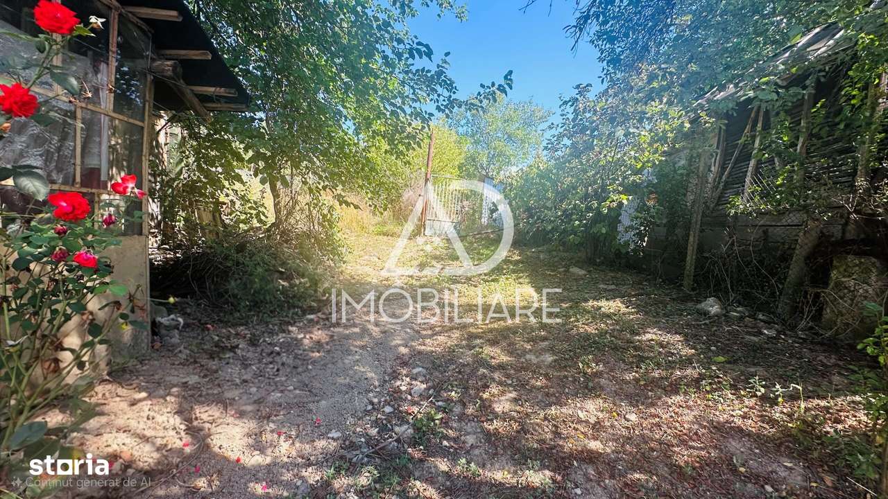 Casa de vanzare in Balesti-6