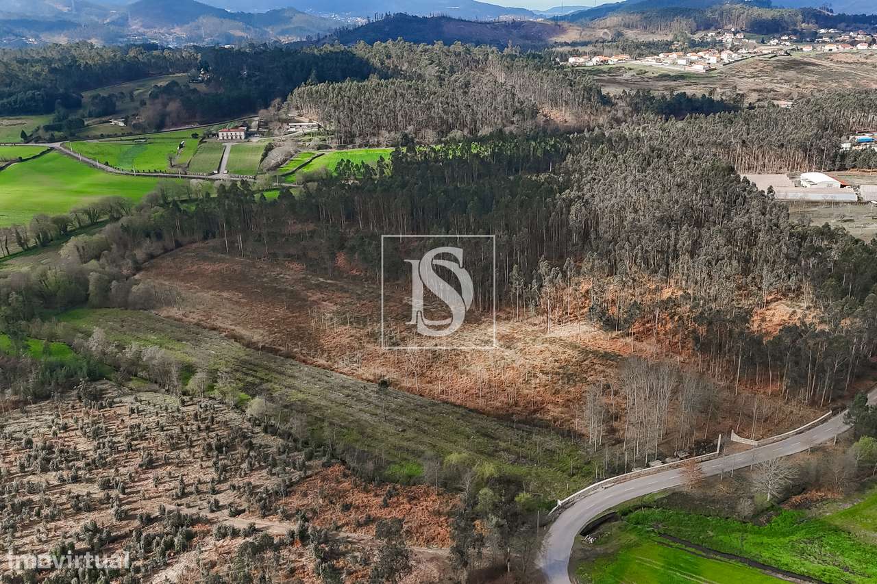 Terreno Rústico  Venda em Associação de freguesias do Vale do Neiva,Po-10