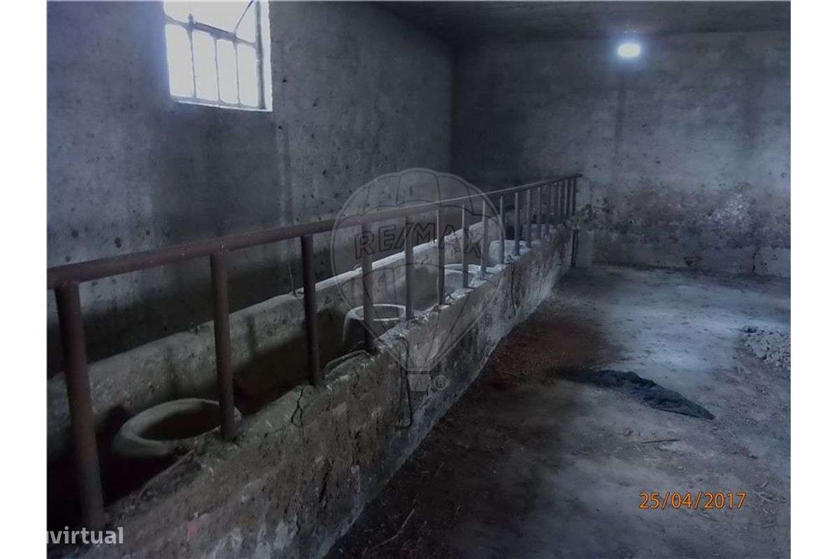 TERRENO - VENDA CARVIDE - Grande imagem: 3/13