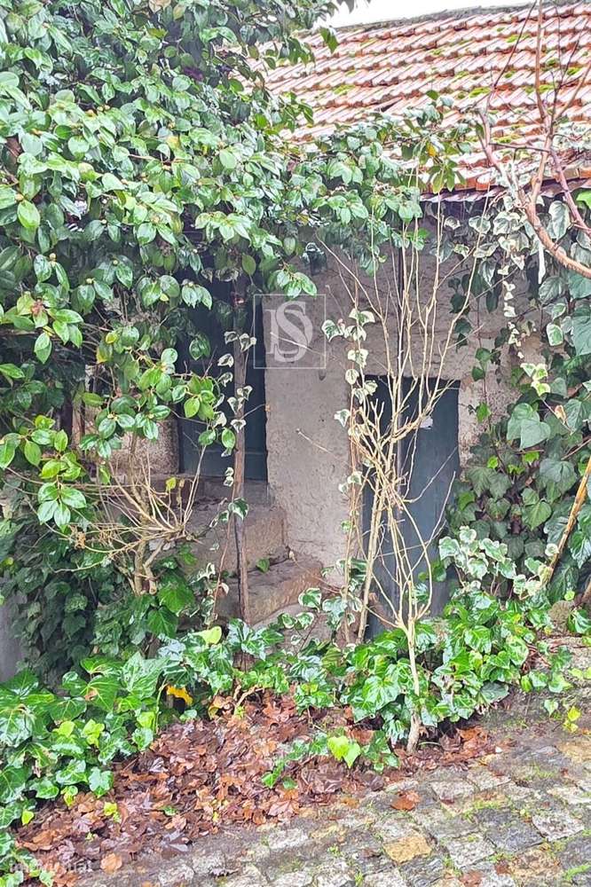 Moradia para Restauro com Terreno - Cepelos Amarante - Grande imagem: 5/17