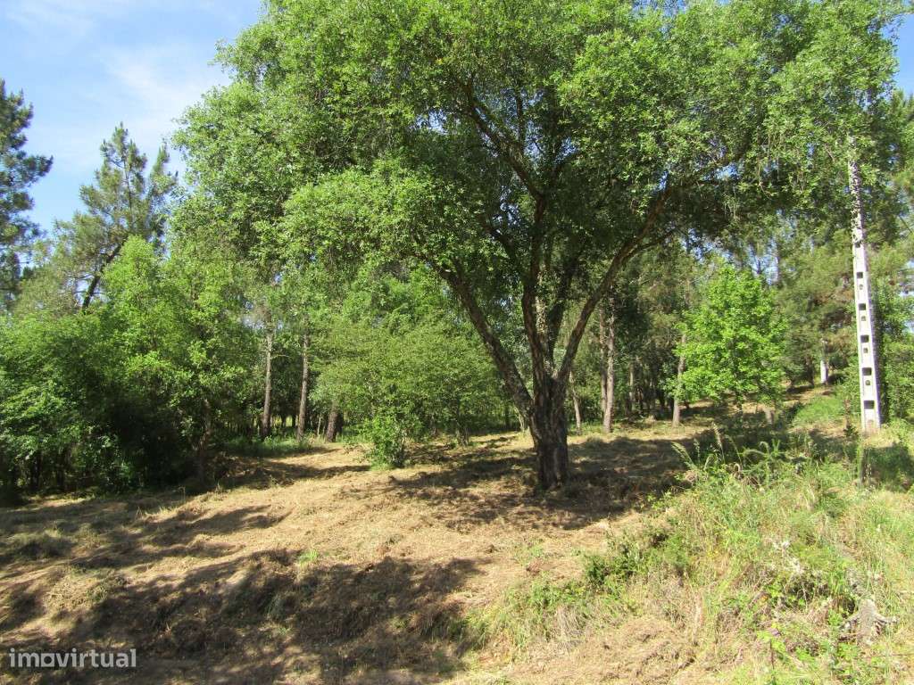 P26-238 Casal da Loba - Terreno Urbanizável no Centro de Portugal e...-28