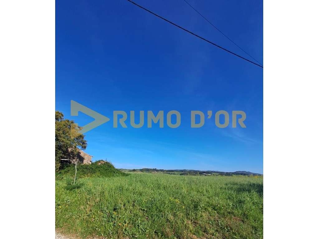 Terreno Rústico em Penedos de Alenquer - Grande imagem: 5/6