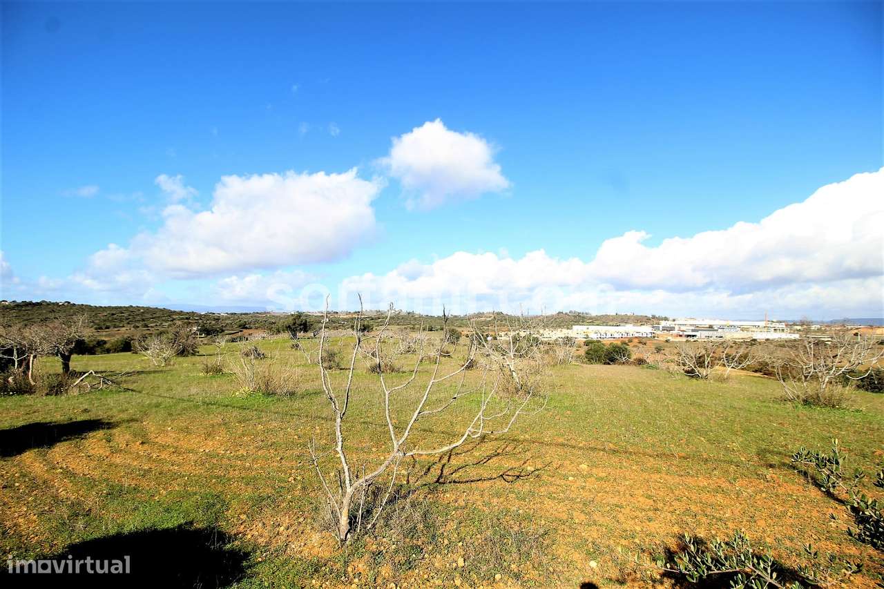 Terreno Rústico  Venda em Algoz e Tunes,Silves - Grande imagem: 4/9