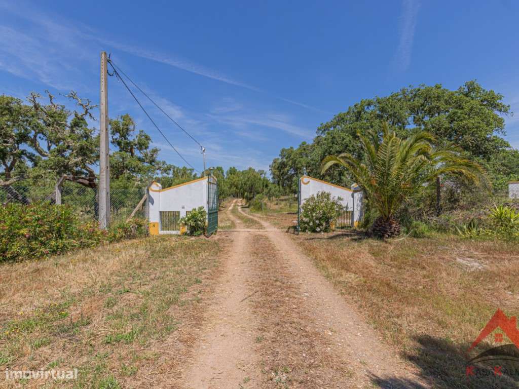 Herdade do Barranco-19