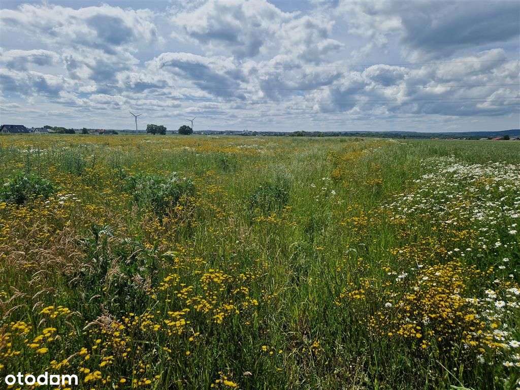 Działki budowlane na obrzeżach Pucka-0