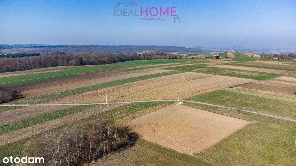 Działka z mozliwością zabudowy - Tuligłowy - Pełny obrazek: 2/16