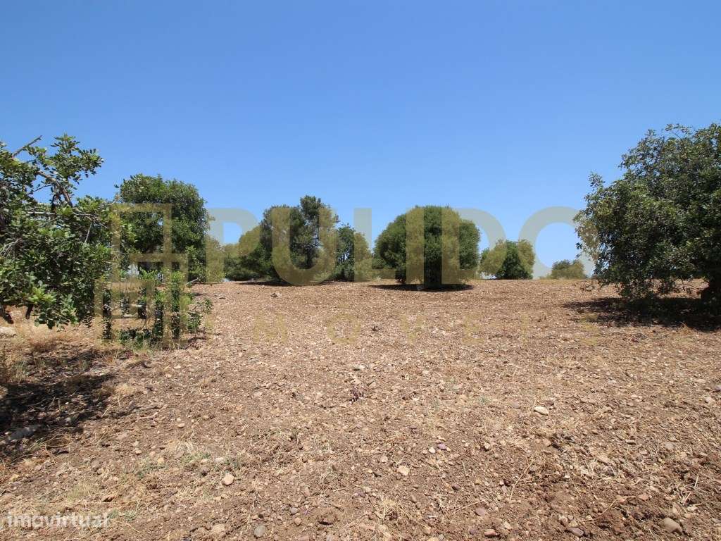 Quinta em Castro Marim a 5km da praia-22
