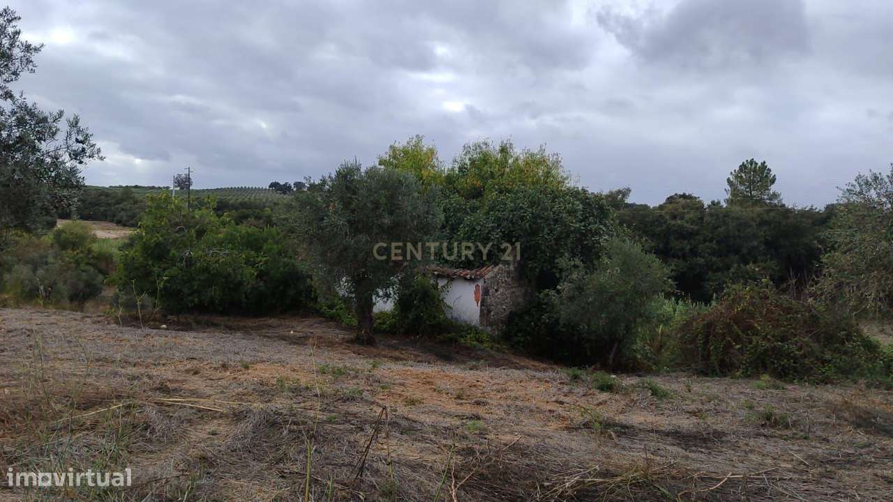 Casa de Campo em São Vicente do Paul, Santarém - Oportunidade Única-32