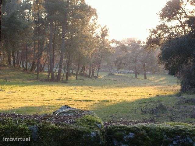Quinta em Chaves Terreno 50 Ha (500 mil M2) Construção 1.593 m2-33